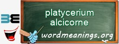 WordMeaning blackboard for platycerium alcicorne